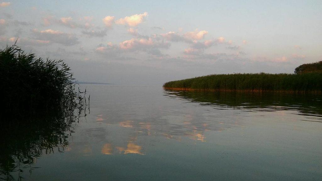 Morska Osada Domki Blisko Morza Krynica Morska Exterior foto